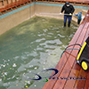 4 pool restoration activities AVSlogo